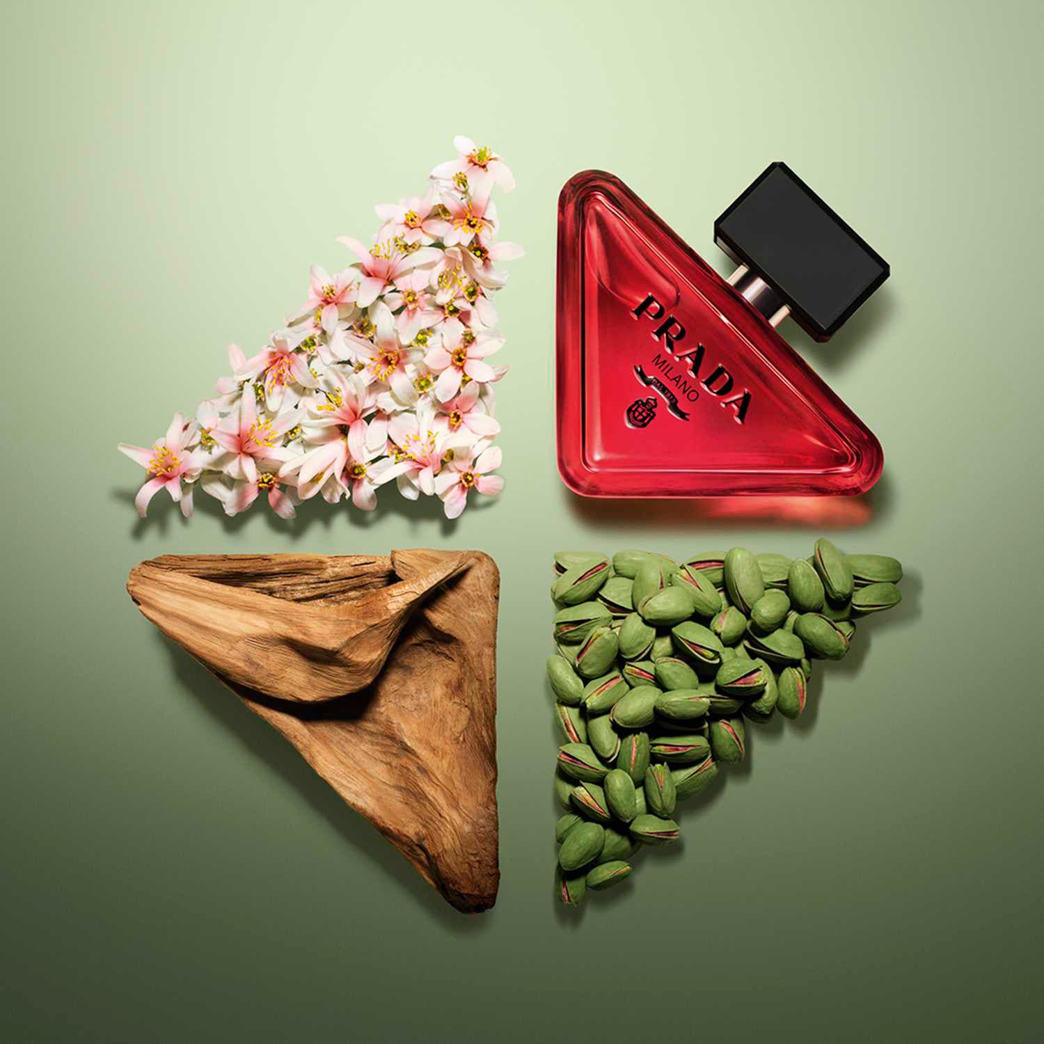 Paradoxe Radical Essence