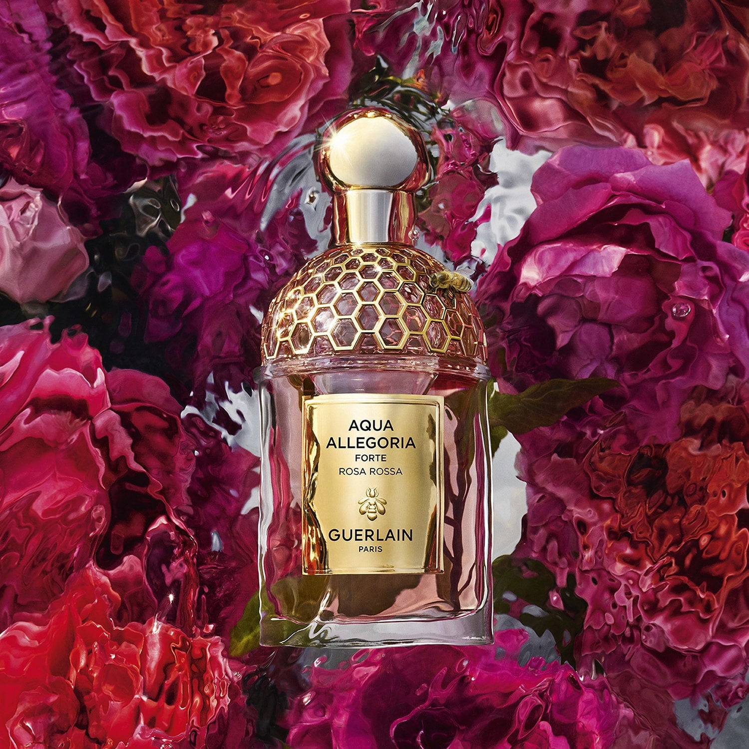 Aqua Allegoria - Rosa Rossa Forte